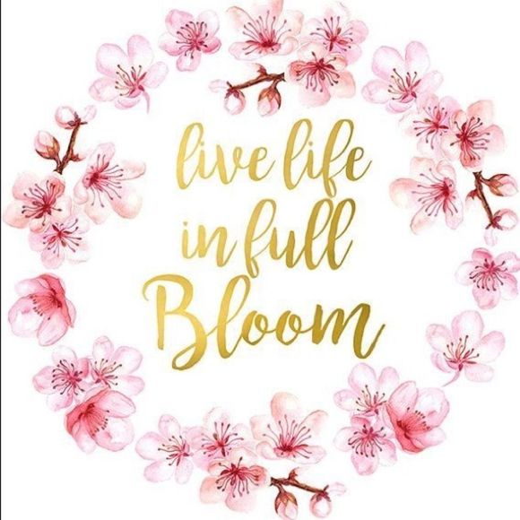 ✨🌸BoHo Silver Spiral Flower Wrap Ring Set 4pcs🌸✨ - Picture 4 of 13